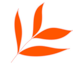 Leaves Plant Texture