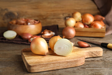 Board with onion on wooden background