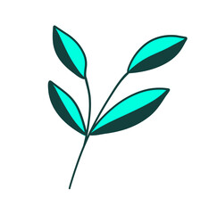 Leaves Plant Texture