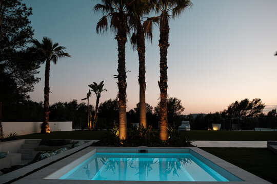 Jacuzzi and palm trees at nightfall
