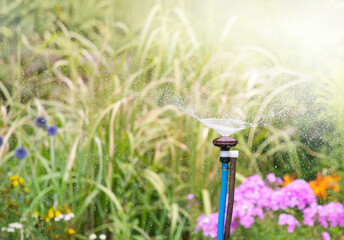 In a garden, water is sprayed with a sprinkler