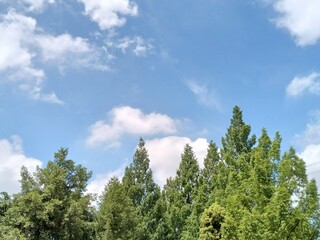 夏空 summer sky