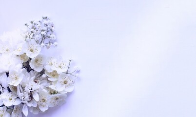 Delicate bouquet with white flowers on a white background. Delicate floral arrangement. Background for a greeting card.