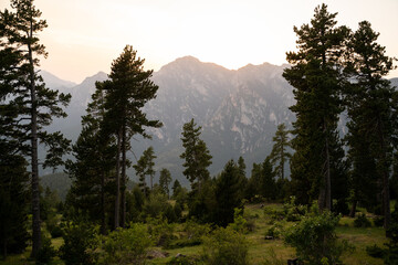 Sunset landscape view of mountain and forest