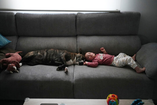 Cute boy and dog sleeping on sofa