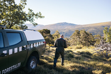 Forest agent in a field