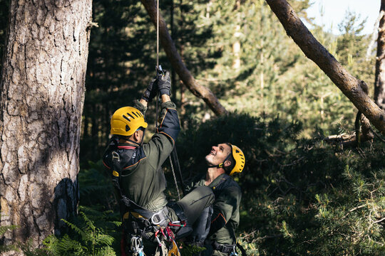 Rangers working in the woods at an animal rescue