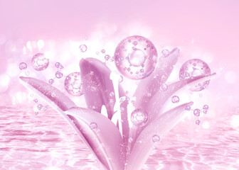 lily flowers background for cosmetics product