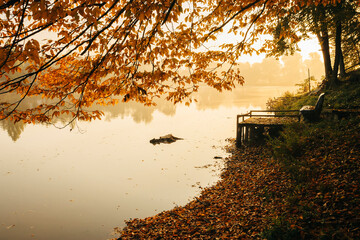 autumn forest at sunrise and a lake