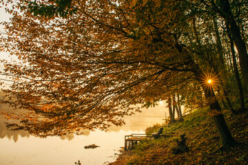 autumn forest at sunrise and a lake