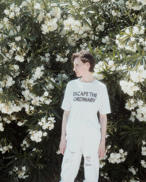 Woman among the white flowers of a green bush under the sun