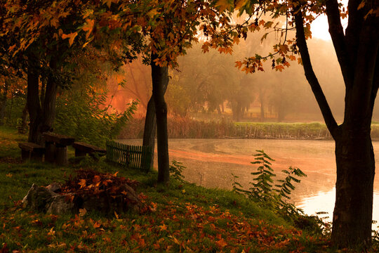 autumn forest at sunrise and a lake