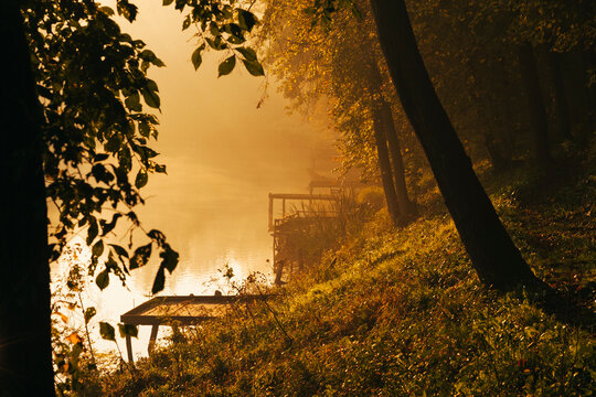 autumn forest at sunrise and a lake