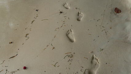 Footprints on the wet sand of the beach. Scattered around are dry blades of grass, fallen fruit. Seychelles