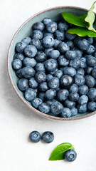 Fresh blueberry on neutral background.