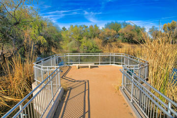 Fototapeta premium View deck with seat near the metal railings at Sweetwater Wetlands- Tucson, Arizona