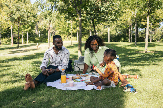 Family having picnic in a park