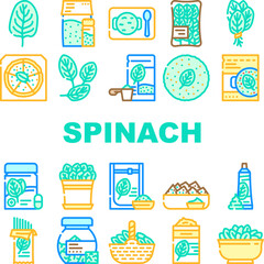 spinach leaf salad green food icons set vector. fresh plant baby, leaves vegetable, organic bunch, lettuce pile healthy raw spinach leaf salad green food color line illustrations
