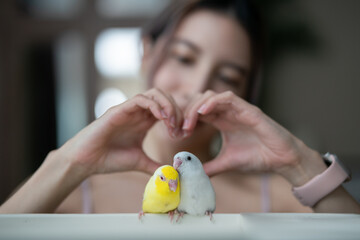 Woman with tiny parrot parakeet yellow and white Forpus bird, make heart shape hand.