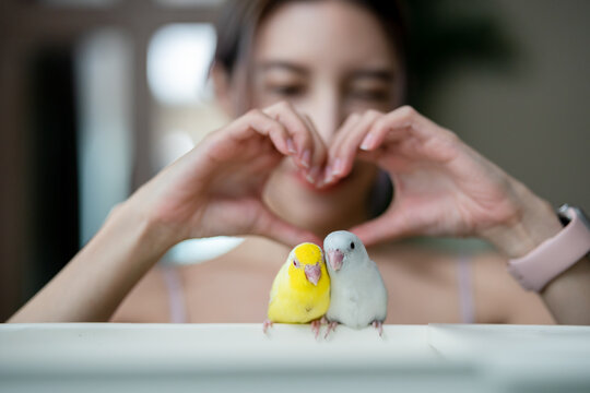 Woman with tiny parrot parakeet yellow and white Forpus bird, make heart shape hand.