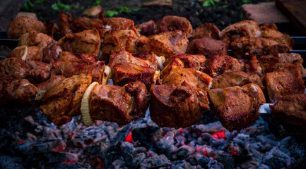 Preparing pork kebab meat skewers, grilled or roasted in a barbecue on an open fire and flames, shashlik or shashlyk for a picnic with pitchforks, close up BBQ Food night