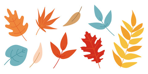 Autumn leaves set isolated on white background