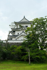 伊賀上野のランドマークである上野城