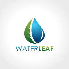 Water Drop and Leaf logo icon design vector