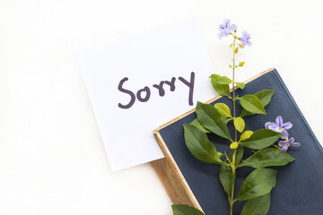 sorry message card handwriting with book, purple flowers arrangement flat lay postcard style on background white 