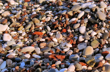 Multi-colored water-polished pebbles close-up on the seashore in daylight