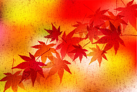 紅葉　もみじ　秋　背景	