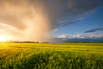 Spectacular storm clouds over the agricultural land in the evening.