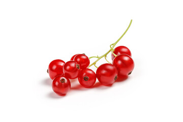 Red currant isolated on white background, clipping path. A branch of red currant.