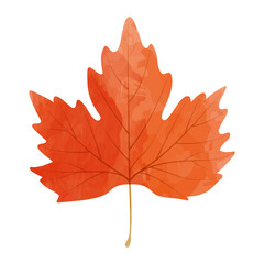 Vector watercolor illustration of an autumn red maple leaf isolated on background.