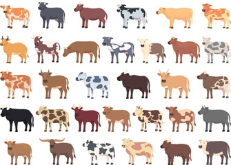 Breeding cows icons set cartoon vector. Dairy milk. Eat farm