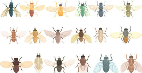Tsetse fly icons set cartoon vector. Dangerous disease. Insect housefly