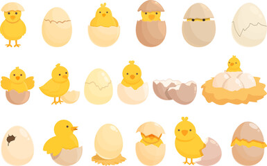 Chicken hatching icons set cartoon vector. Egg nest. Chicken baby