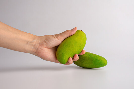 Hand and fresh green mango fruit isolated on white background