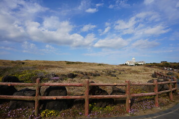 Fototapeta premium seaside meadow and beautiful house