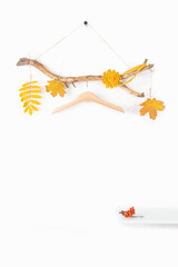 One hanger on thick wooden stick with fall yellow leaves and shelf on white background. Concept Season autumn sale or Eco-Friendly Homes. Front view Mockup