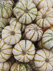 White pumpkins squash pattern background. Flat lay, top view autumn seasonal composition