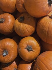 Orange pumpkins pattern background