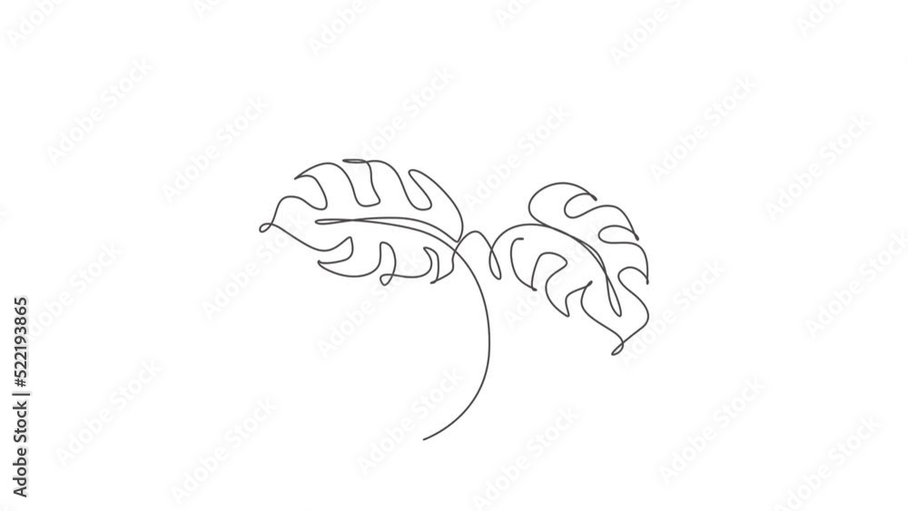 Poster animated self drawing of single continuous line draw monstera leaf. abstract botany style concept fo