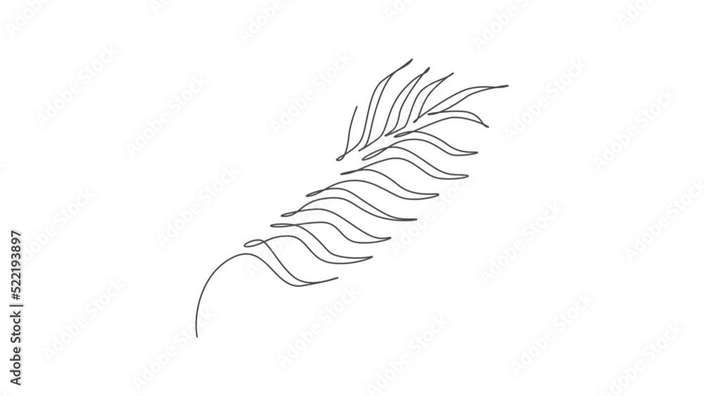 Poster animated self drawing of single continuous line draw palm faux areca leaf. botany style concept for 