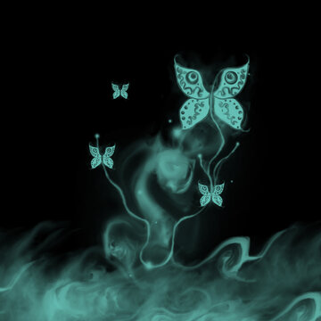 tosca butterfly on dark background