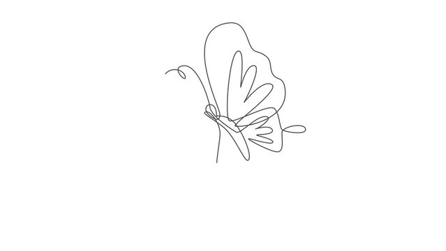 Animation of one line drawing woman with butterfly line art. Female abstract face butterfly botany portrait minimalistic print style concept. Continuous line self draw animated. Full length motion.