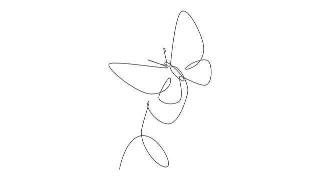 Animated self drawing of single continuous line draw beauty woman with butterfly artwork. Botanical, fashion, t-shirt print. Portrait minimalistic style concept. Full length one line animation.