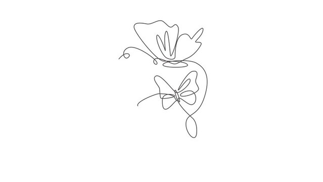 Animated self drawing of single continuous line draw beauty woman with butterfly artwork. Botanical, fashion, t-shirt print. Portrait face minimalistic style concept. Full length one line animation.