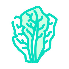 lettuce food color icon vector. lettuce food sign. isolated symbol illustration