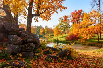 Autumn foliage in Alexander park, Pushkin, Saint Petersburg, Russia